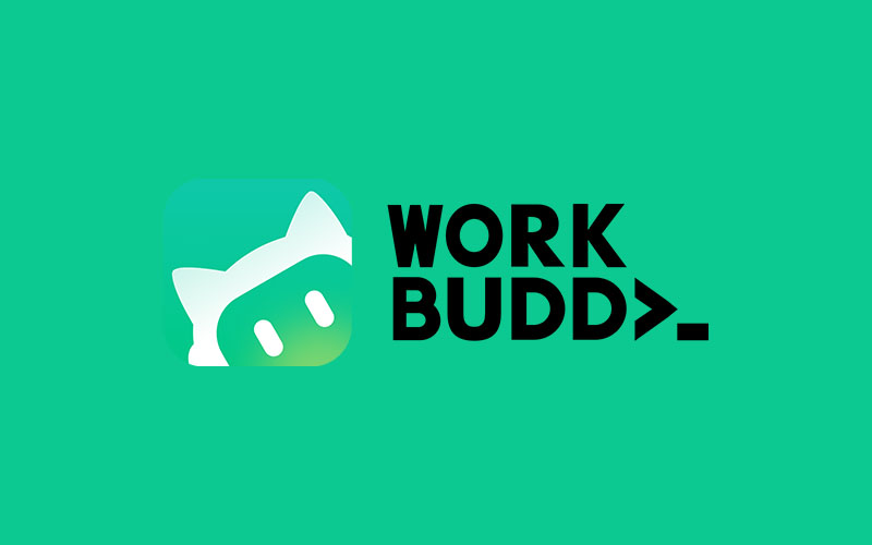 Fix WorkBuddy Custom Models: API, Auth and Protocols